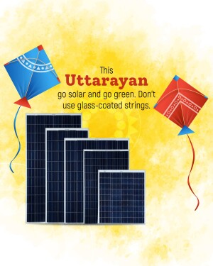 Makar Sankranti Wisehs Images, Poster and Status Free Download 255 image 17044501636231 Makar Sankranti